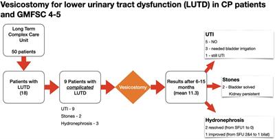 Permanent cutaneous vesicostomy: a pragmatic approach to safely manage lower urinary tract dysfunction in pediatric patients with chronic and life-limiting conditions and neuropathic bladders